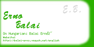 erno balai business card